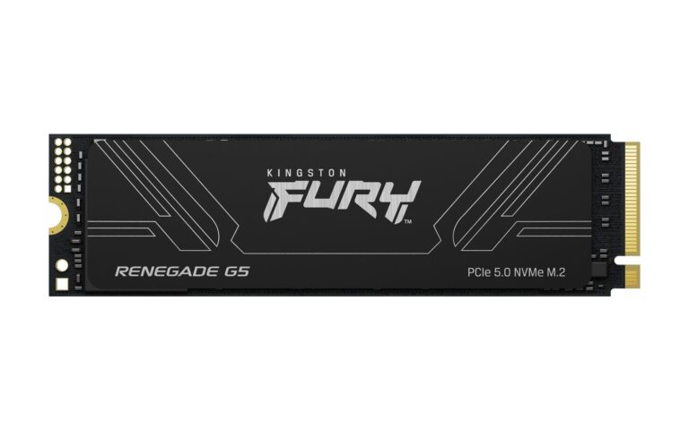 Kingston Technology 2T FURY RENEGADE G5 M.2 2280 NVMe SSD