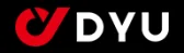 DYU Ebike